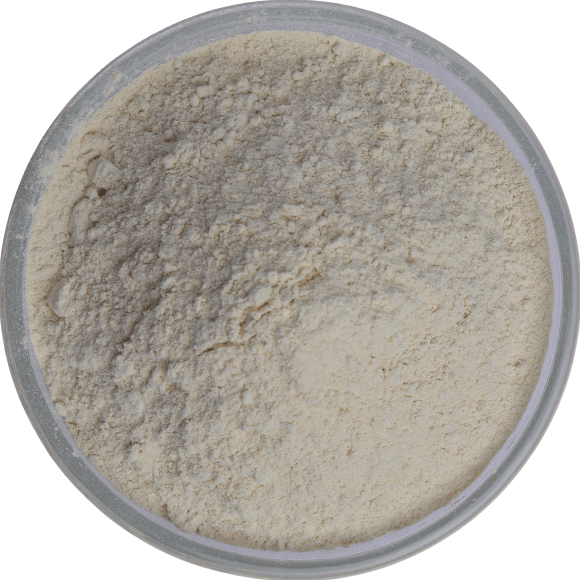 Premium Garlic Powder